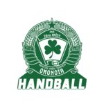 Διαδικτυακή ψηφοφορία μελών για το τμήμα Handball